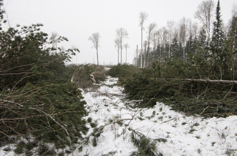 Winter skid steer attachments